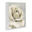 «Curling Rose Petals», art de la giclée encadrée par Lori Deiter-103014039-103014035