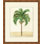 Modern Palm 3 Painting