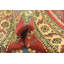 Tapis rouge Kaibab