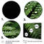 Ferns Serene Resilience - Imprimé-851957310-851957305