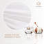 Ensemble de 2 oreillers de lit Babb-234615472