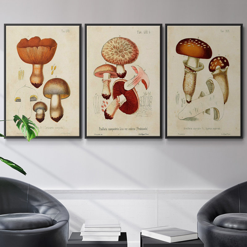 Mushroom Variétés I - ensemble de 3 reproductions sur toile, H 36 po x l 72 po, Noir