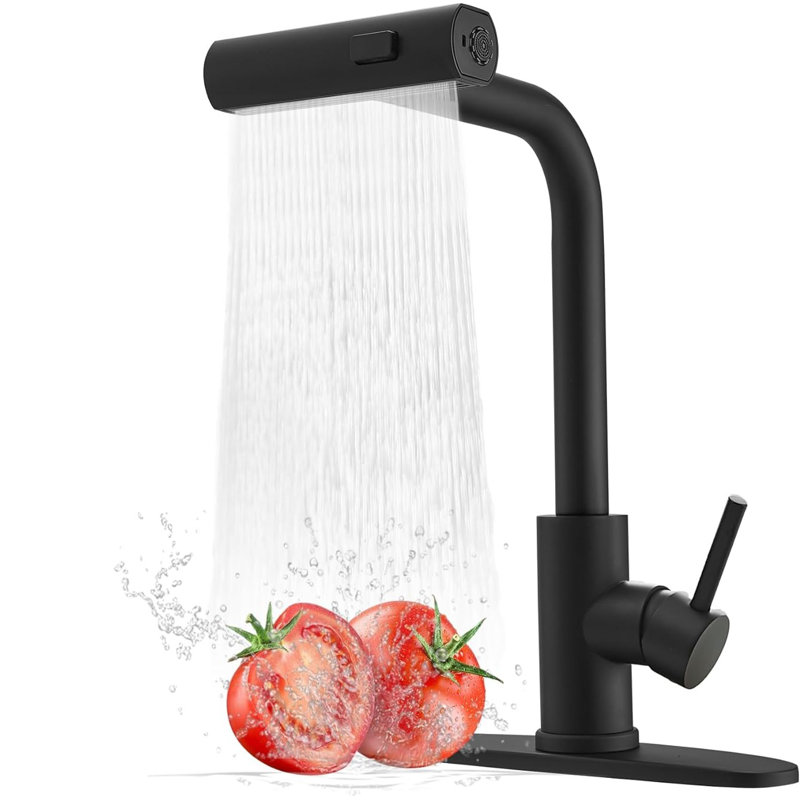 Matte Black Stainless Steel Kitchen Faucet with Pull-out Spray