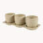 3 - Piece Pot Planter Set with Tray-98951308