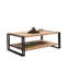 Ailyne Coffee Table-984712693