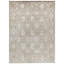 Oriental Area Rug