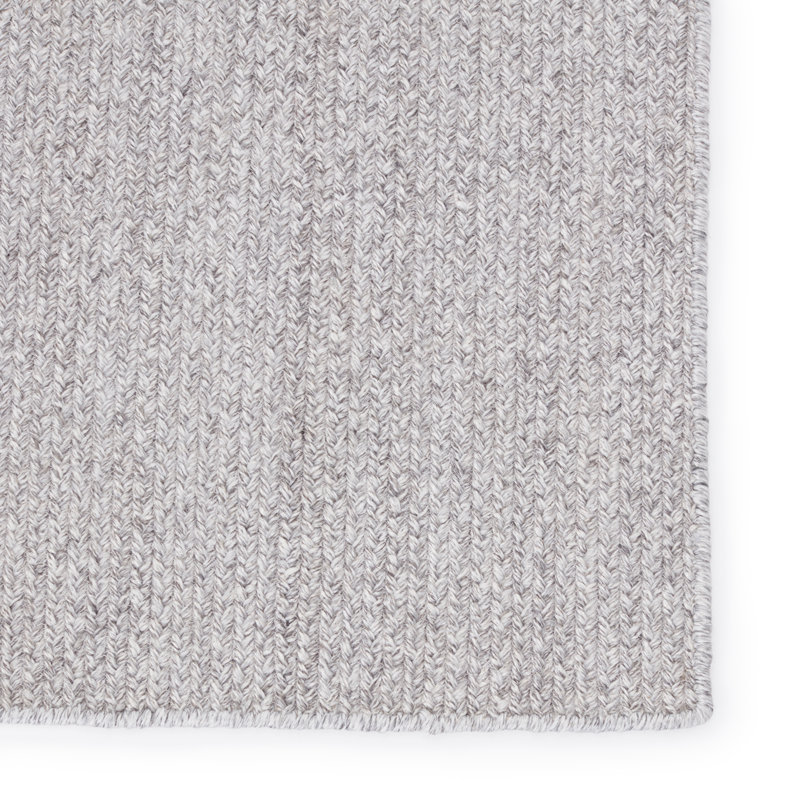 Tapis intérieur / extérieur gris clair tissé à la main, Rectangle 4 pi x 6 pi