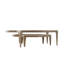 2 tables basses gigognes Michael Berman