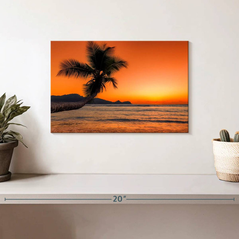 Gillard Beach Sunrise Palm, H 8 po x l 12 po