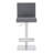 Bucoli Modern Adjustable Swivel Metal Bar Stool-323826949-323826946