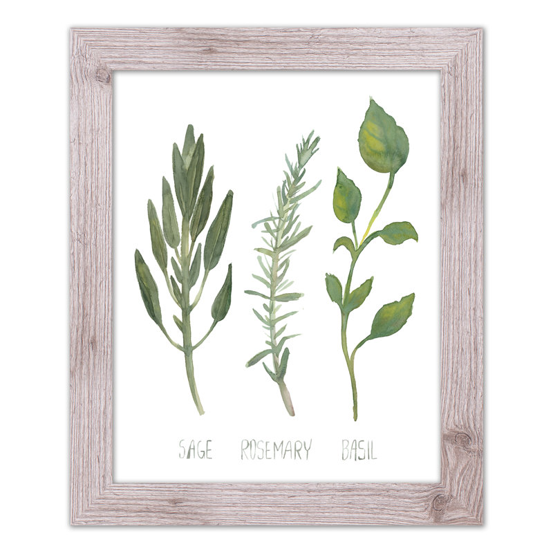 Herbs - Single Picture Frame Painting, 20" H x 16" W x 0.75" D