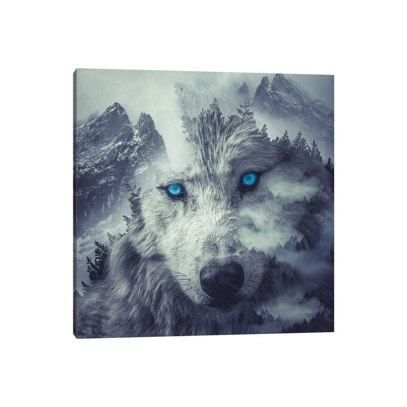 Mountain Wolf by Paul Haag - Print on Canvas, Wrapped Canvas, 30.48 cm H x 30.48 cm W