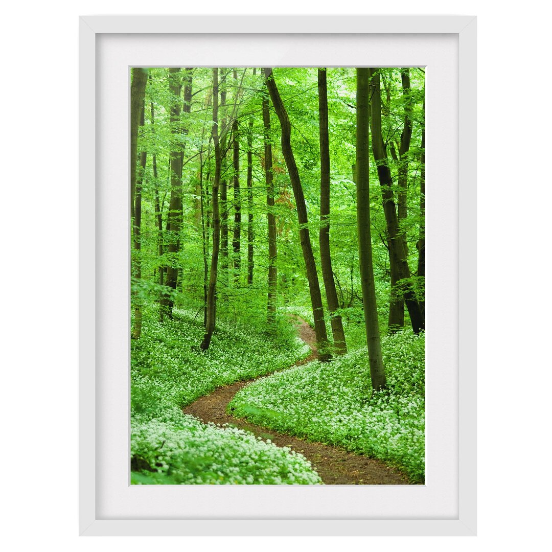 Gerahmter Fotodruck Romantischer Waldweg