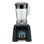 Waring 10 Speed 48oz. Countertop Blender