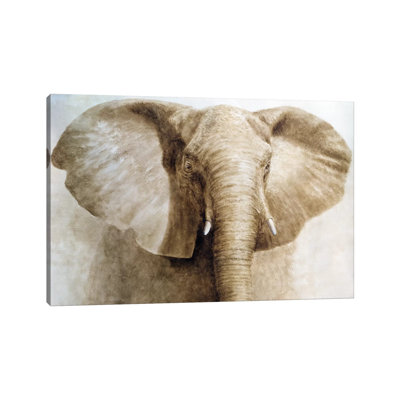 Elephant 1 Piece Wrapped Canvas Painting