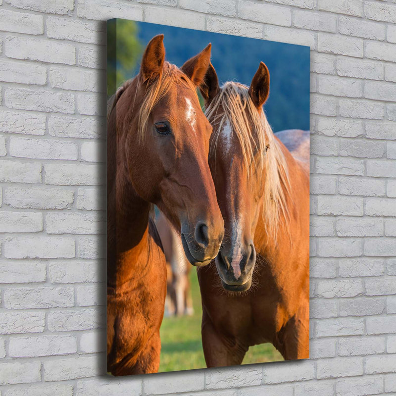 Two Horses - Wrapped Canvas Print