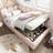 Upholstered Daybed Bed With Storage,Ottoman Bed Twin Size Single Sofa Bed, Daybed With Hydraulic Storage Bed Frame, With Metal Slatted Frame, Velvet, Pink (Without Mattress)-392399036