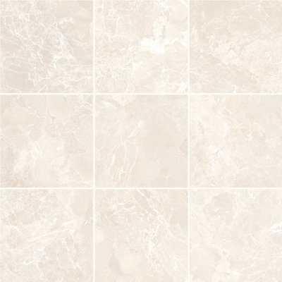 Ravenna 12X12 Porcelain Tile