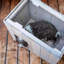 Wood Portable Dog House-88709322