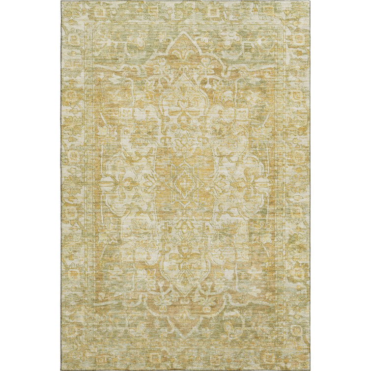 Premium Machine Washable Lucchesi AMF1728 Global Rug