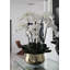 Pot à tiges d'orchidée Roberi-293210172-286301786