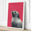 Seal in Pink Modern - Wrapped Canvas-2117264779-2117264880