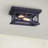 Hackler Glass Flush Mount