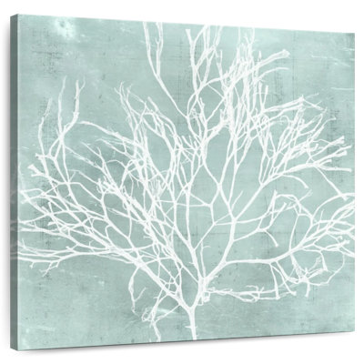 Algue Brampt sur turquoise II