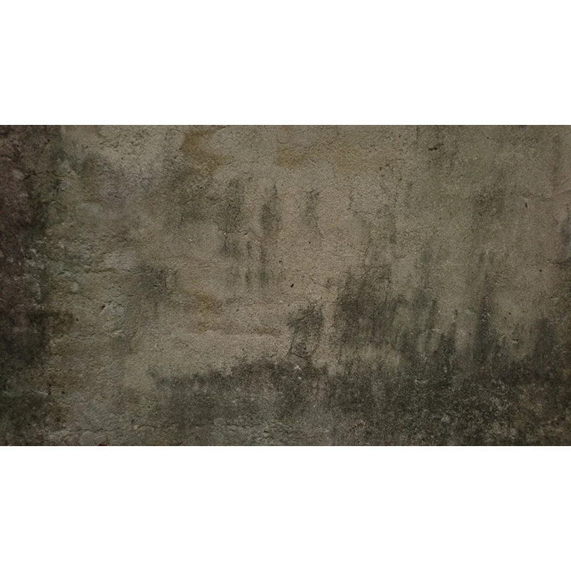 Weathered Earth Whisper, 117.96" L x 236" W