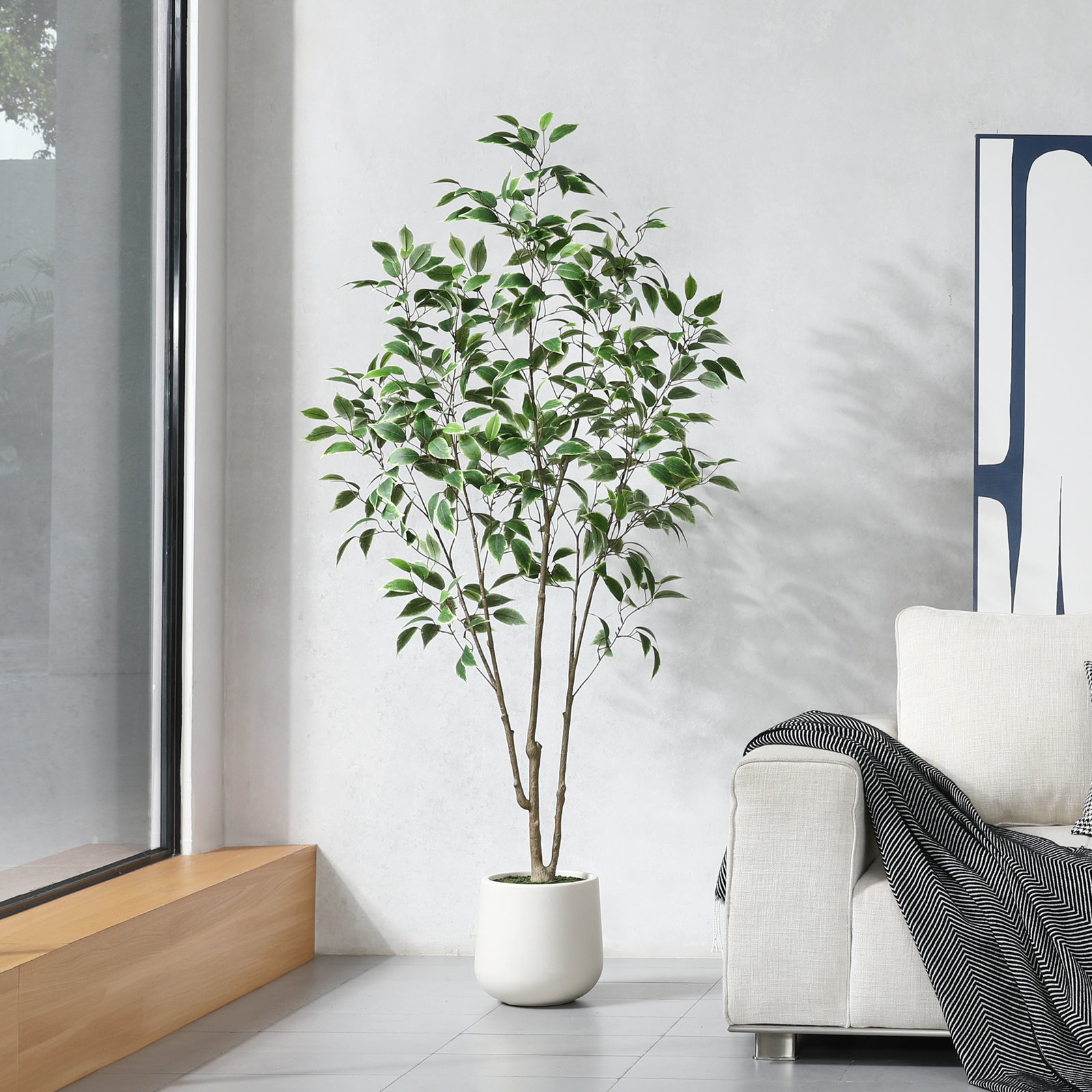Adcock Fake Ficus Tree with Round White Planter, Pre Potted Faux Greenry Ficus Plant for Home Decor, 72" H x 24" W x 24" D