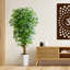180cm Tree