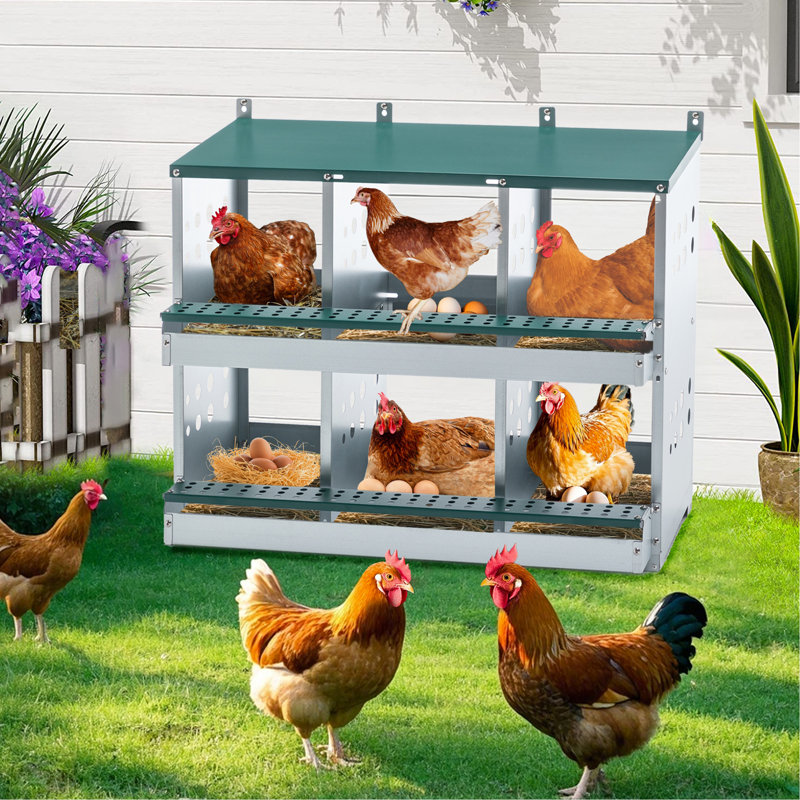 Boîte de nidification à 6 compartiments pour poules pondeuses, boîtes à poules roulantes