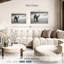 Chameaux Brampt-108147358