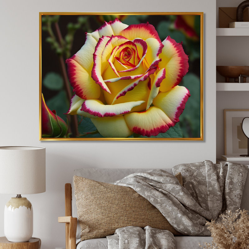 «Red and Yellow Blossoming Spring Rose I», reproduction sur toile, H 34 po x l 44 po x P 1,5 po, Cadre flottant doré