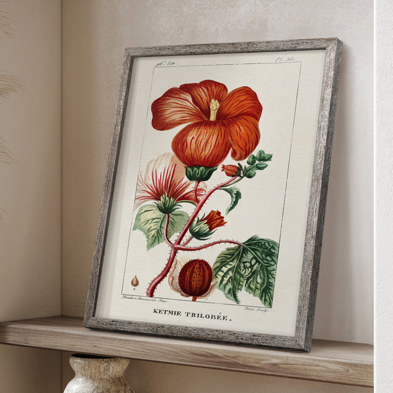 Reproduction encadrée Turpin Tropical Botanicals VII - bois massif, H 11 po x l 9 po