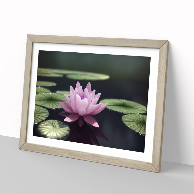 Expressive Water Lily Flower - Single Picture Frame Print, 34cm H x 46cm W x 2cm D, Oak