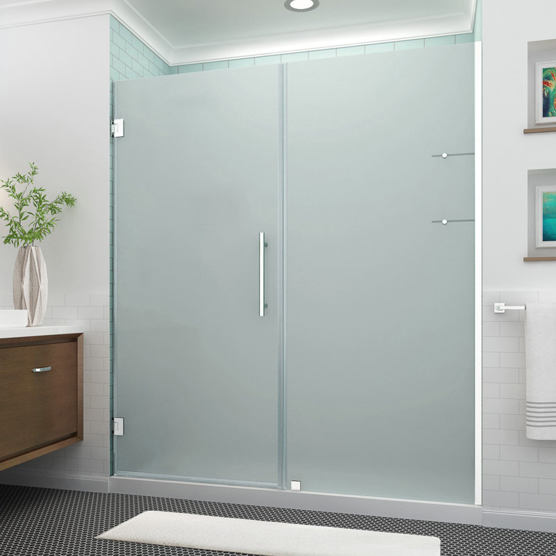 Belmore GS 60" x 72" Hinged Frameless Shower Door, Stainless Steel, Frosted