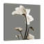 «Gray Luster Cyclamen», reproduction d'impression sur toile-23605333