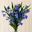 Artificial Arrangement-112376036-106401542