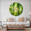 Forêt avec les rayons du soleil - horloge murale moderne-34141292