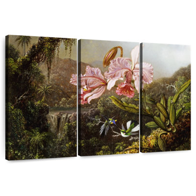 Orchidées Harnek et colibris dans la jungle brésilienne