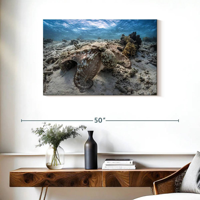 Brampt Stealthy Octopus, 24" H x 36" W