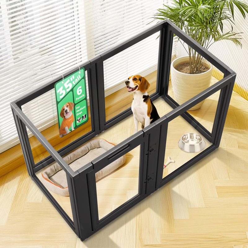 Parc pour chien d'intérieur en acrylique FXW AuraSpace pour chiens de taille moyenne, 35 po, 6 panneaux, noir, Noir