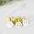 Paper Birthday Disposable Party Supplies