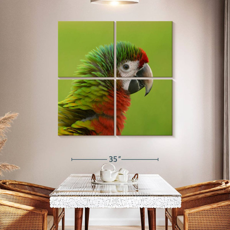 Brampt Macaw Bird Head, 45" H x 45" W