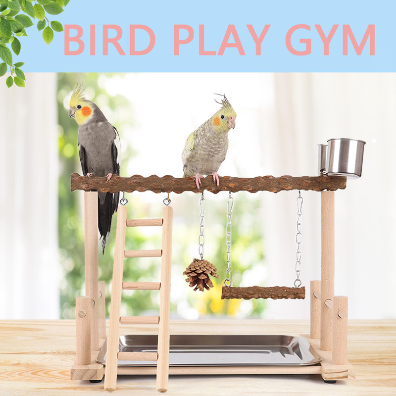 Bird Play Gym With Swing,Ladder,Tray,And Two Cups