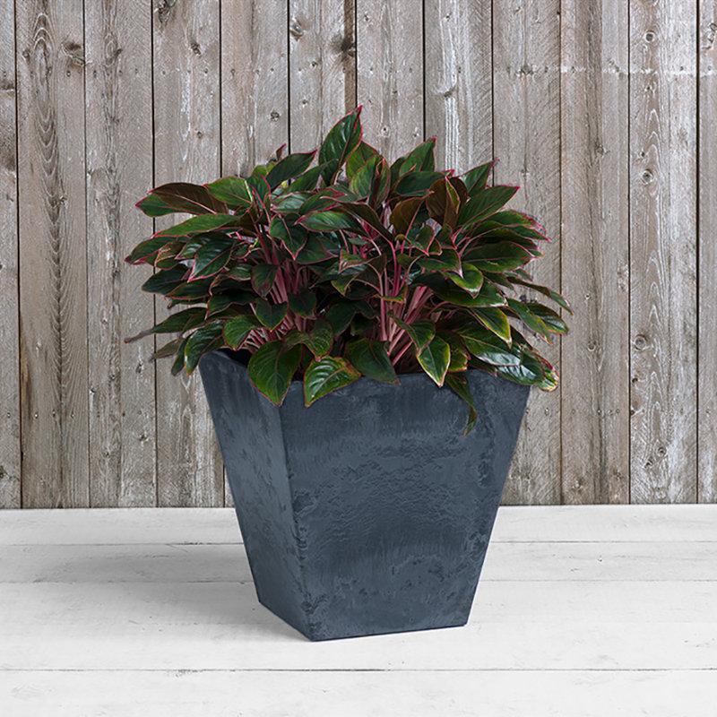 Alaunah Pot Planter, Black, 12" H x 11.75" W x 11.75" D