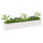 Wood Pot Planter-91895489-91895486