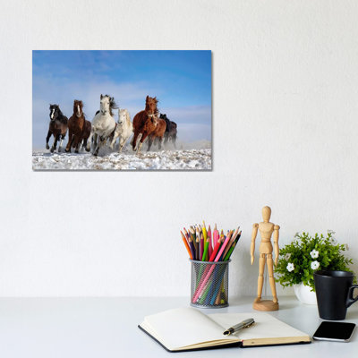 Mongolia Horses by Libby Zhang - Wrapped Canvas Gallery-Wrapped Canvas Giclée