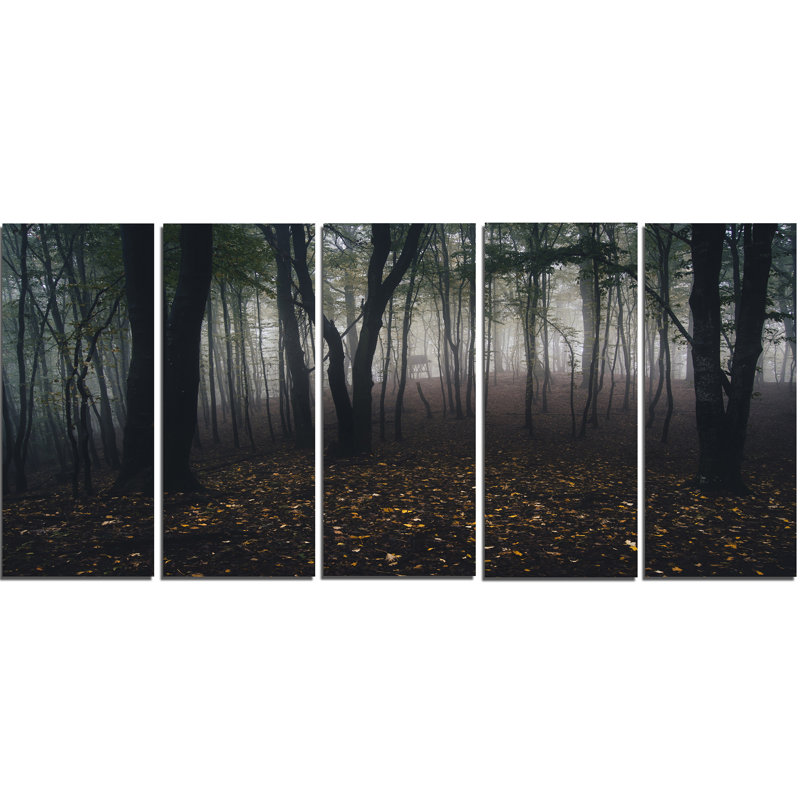 « dark effrayant éclairé misty wild forest », ensemble de 5 reproductions de photos sur toiles tendues